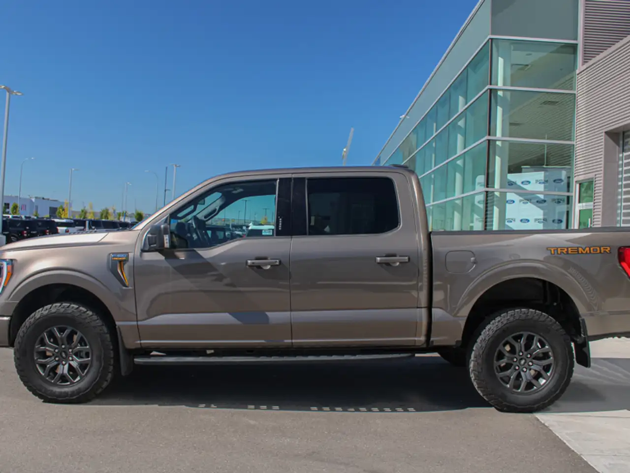 Ford F-150 - Image 2