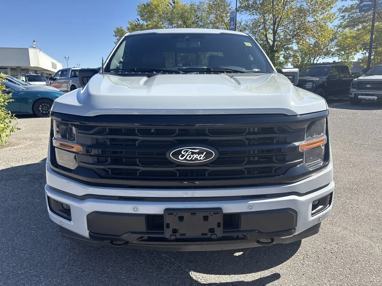 Ford F-150 - Image 4
