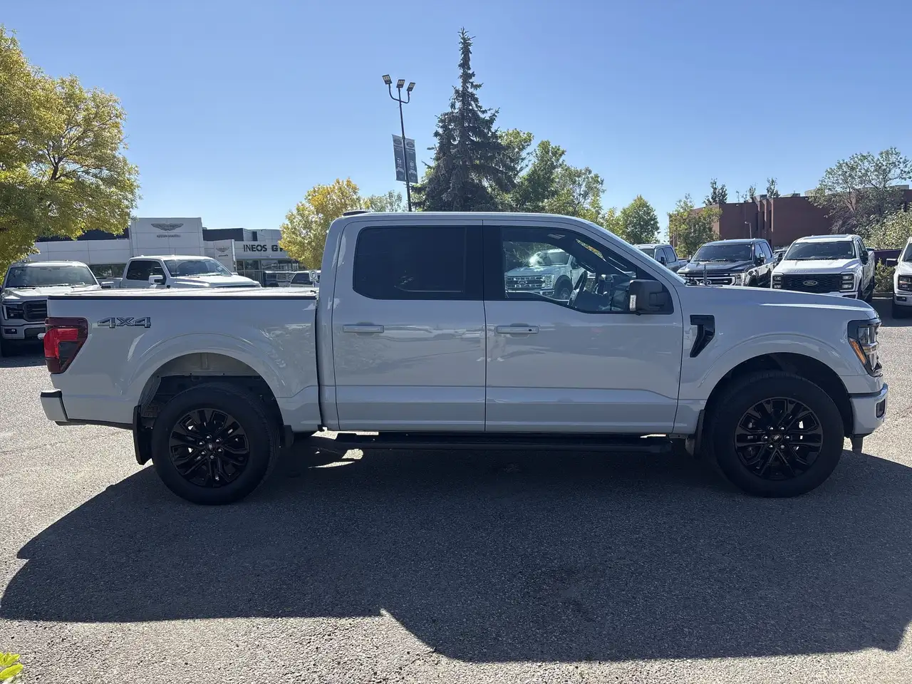 Ford F-150 - Image 13