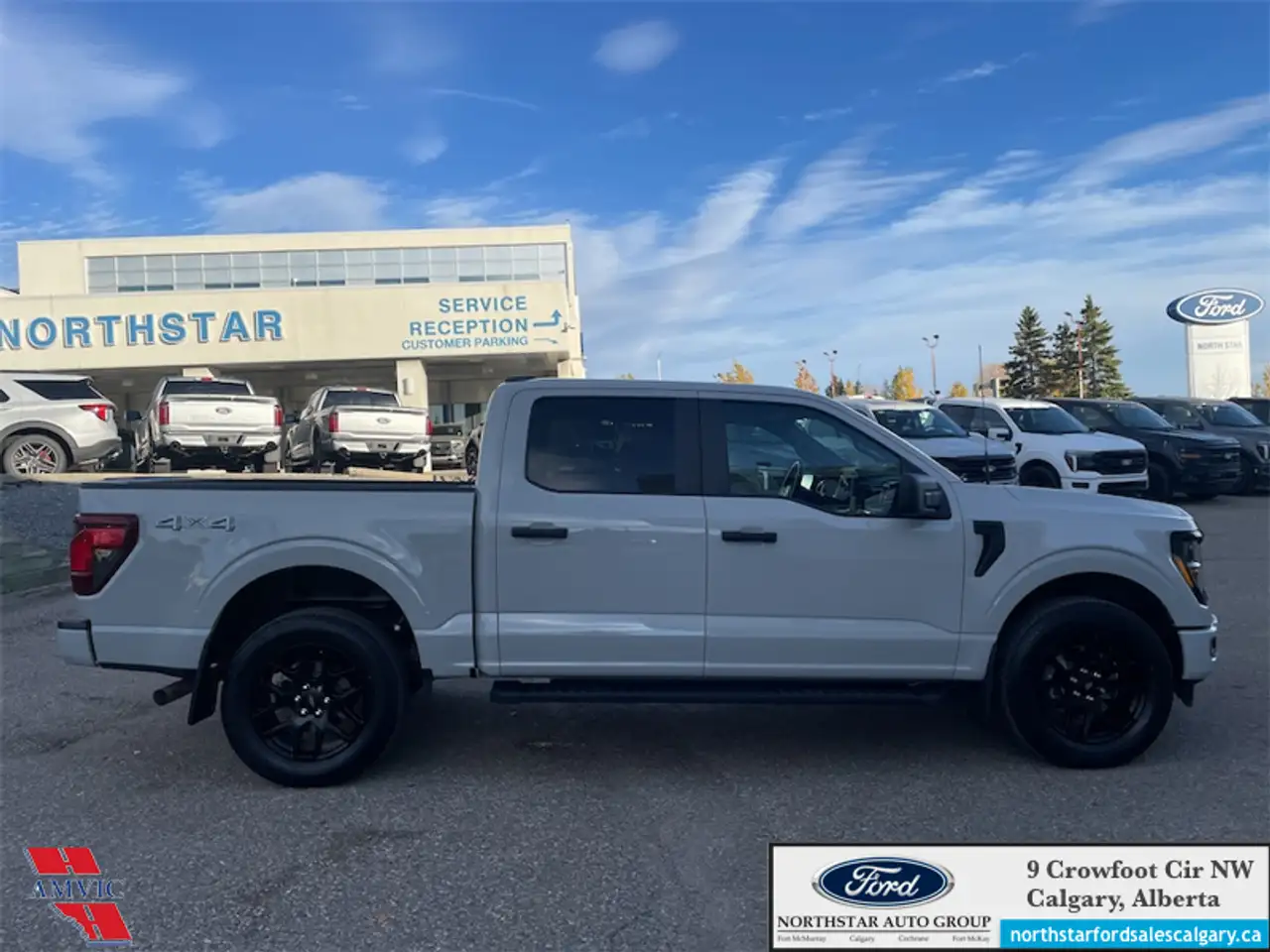 Ford F-150 - Image 4