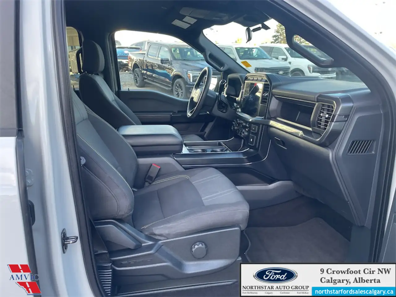 Ford F-150 - Image 13