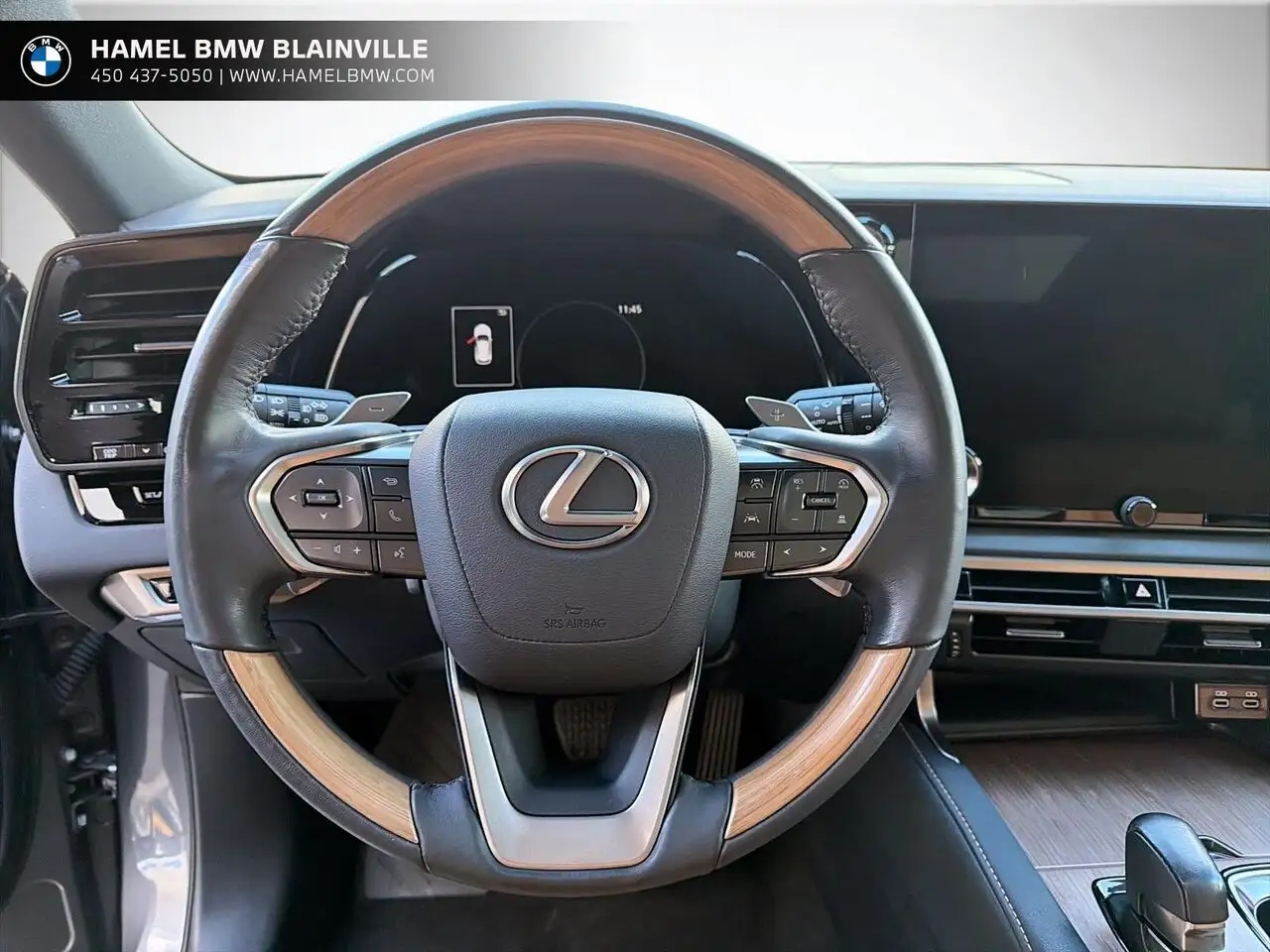 Lexus RX - Image 12