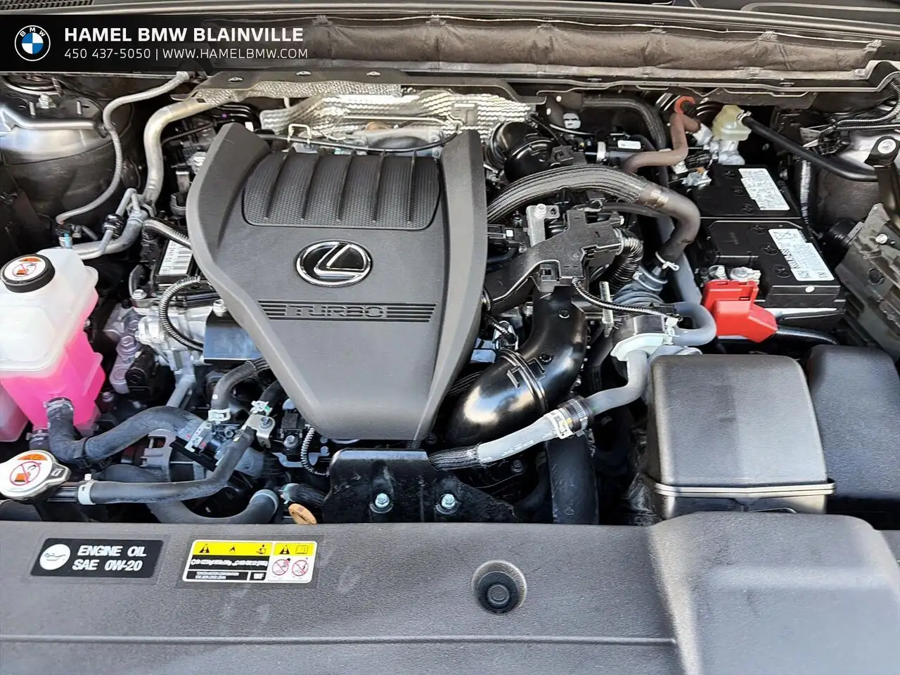 Lexus RX - Image 8