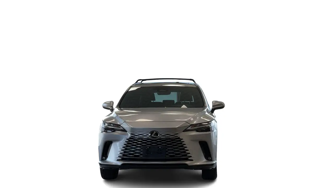 Lexus RX - Image 4