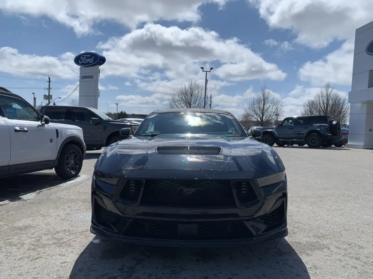 Ford Mustang - Image 2