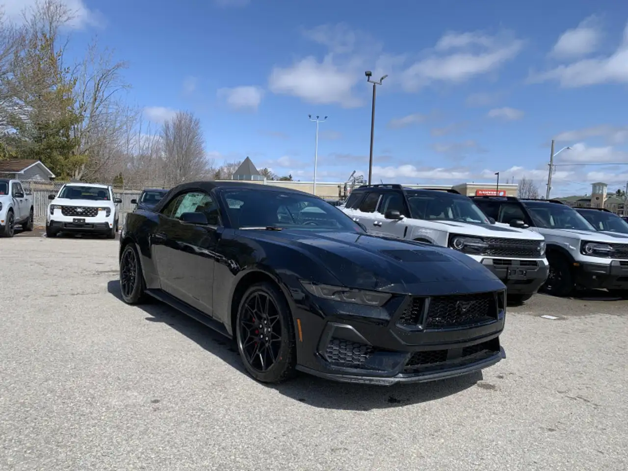 Ford Mustang - Image 3