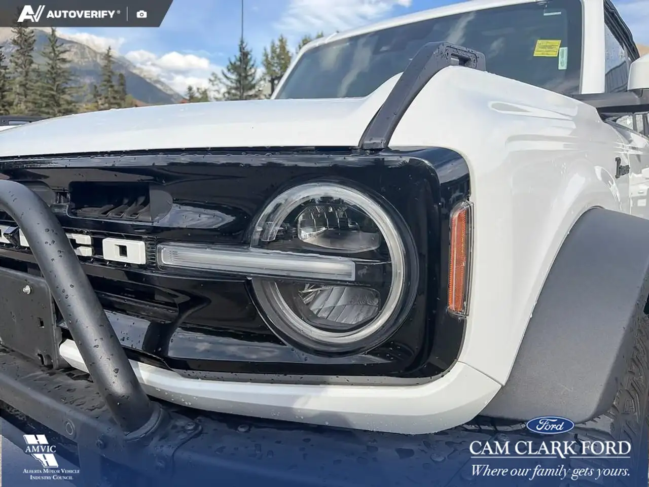 Ford Bronco - Image 8