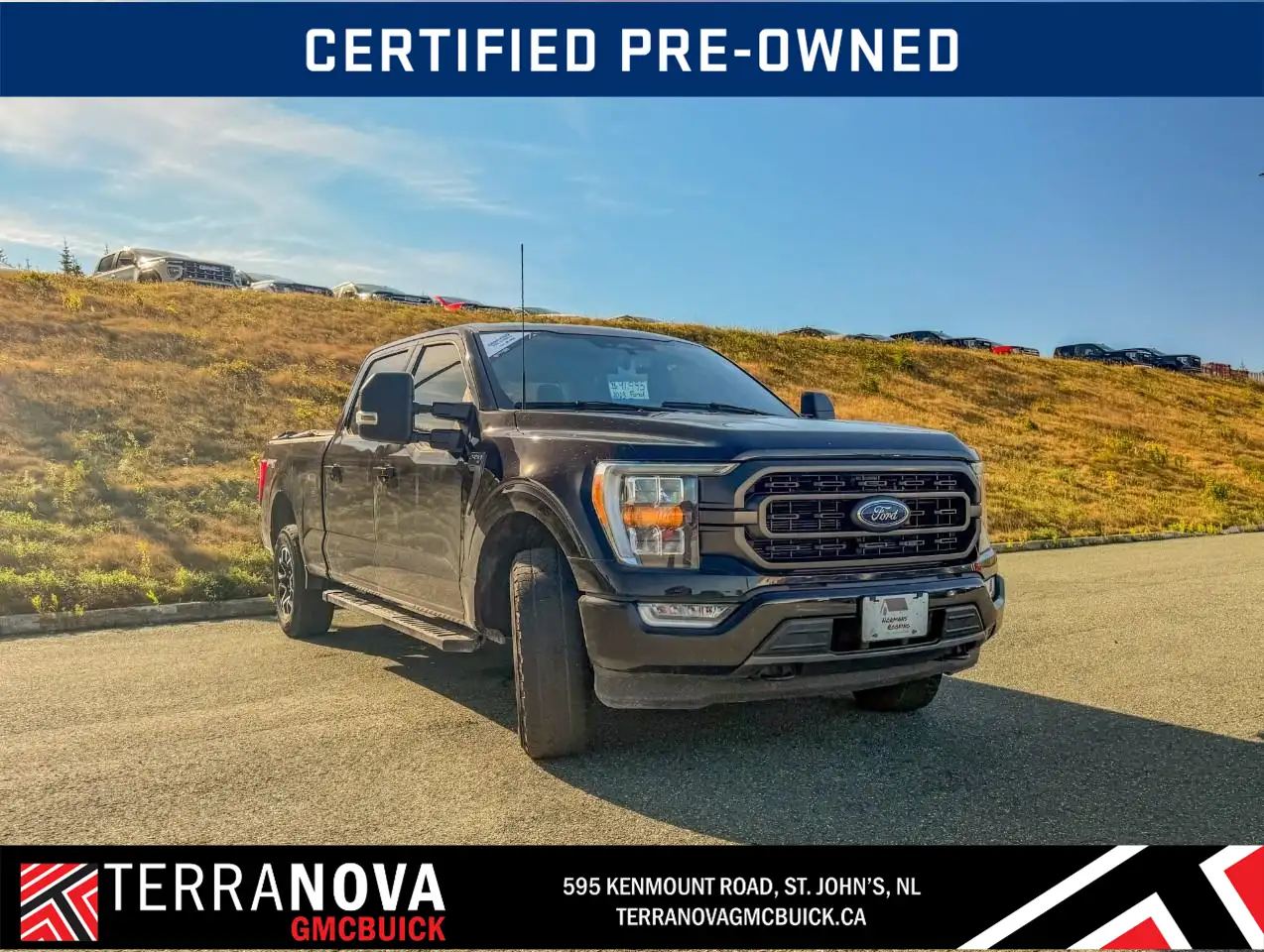 Ford F-150 - Image 4