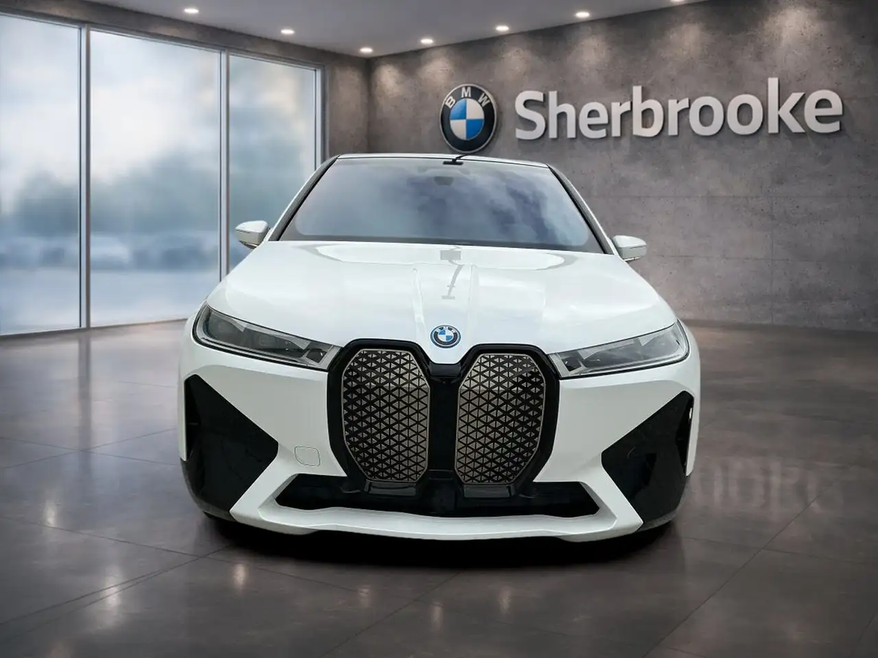 BMW iX - Image 2