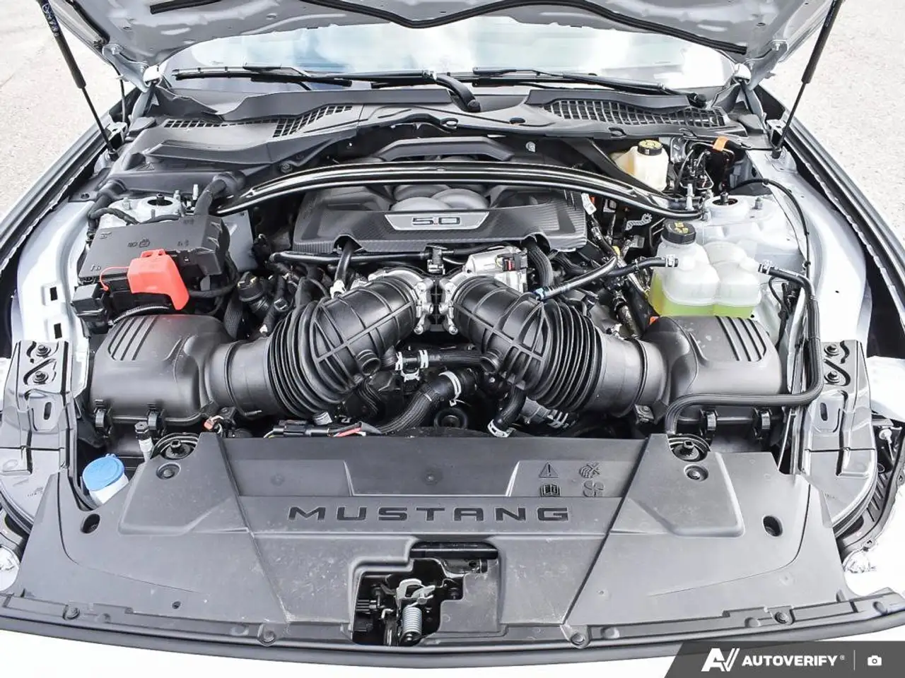 Ford Mustang - Image 10