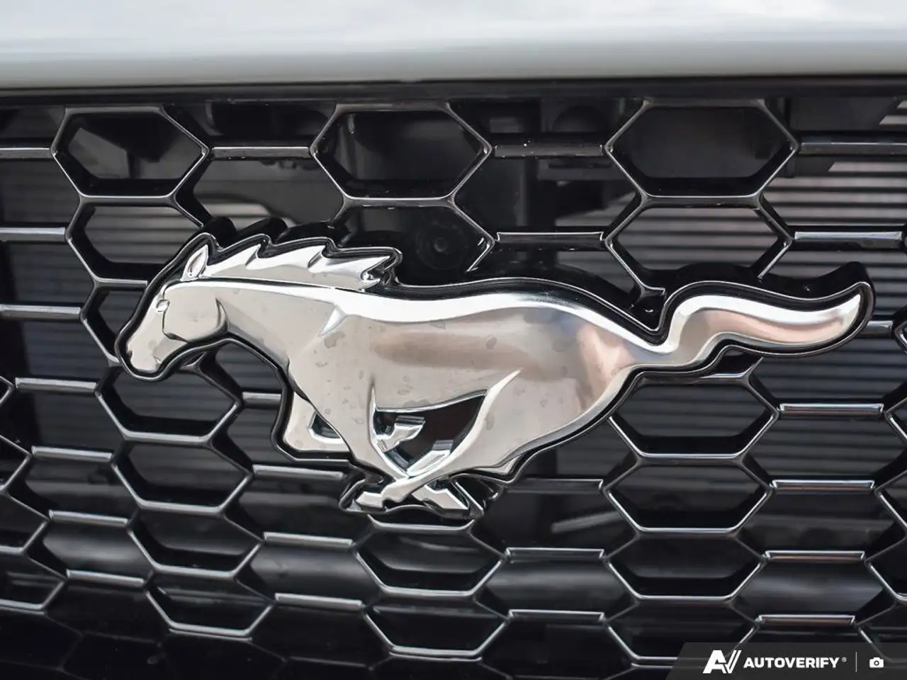 Ford Mustang - Image 11