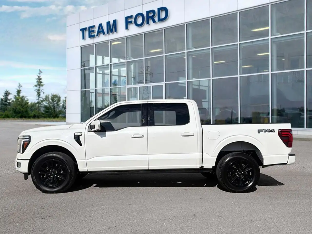 Ford F-150 - Image 3