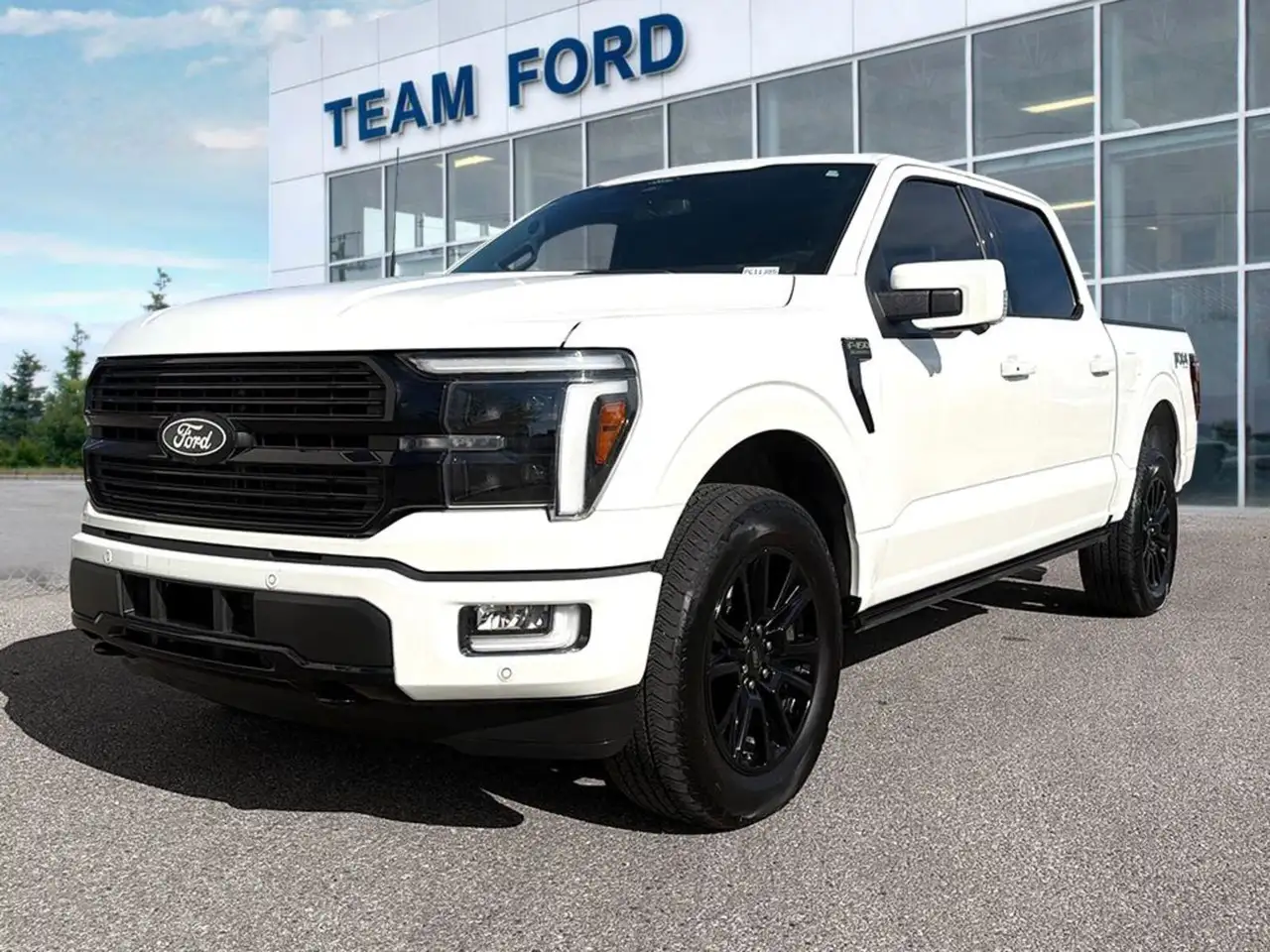 Ford F-150 - Image 1