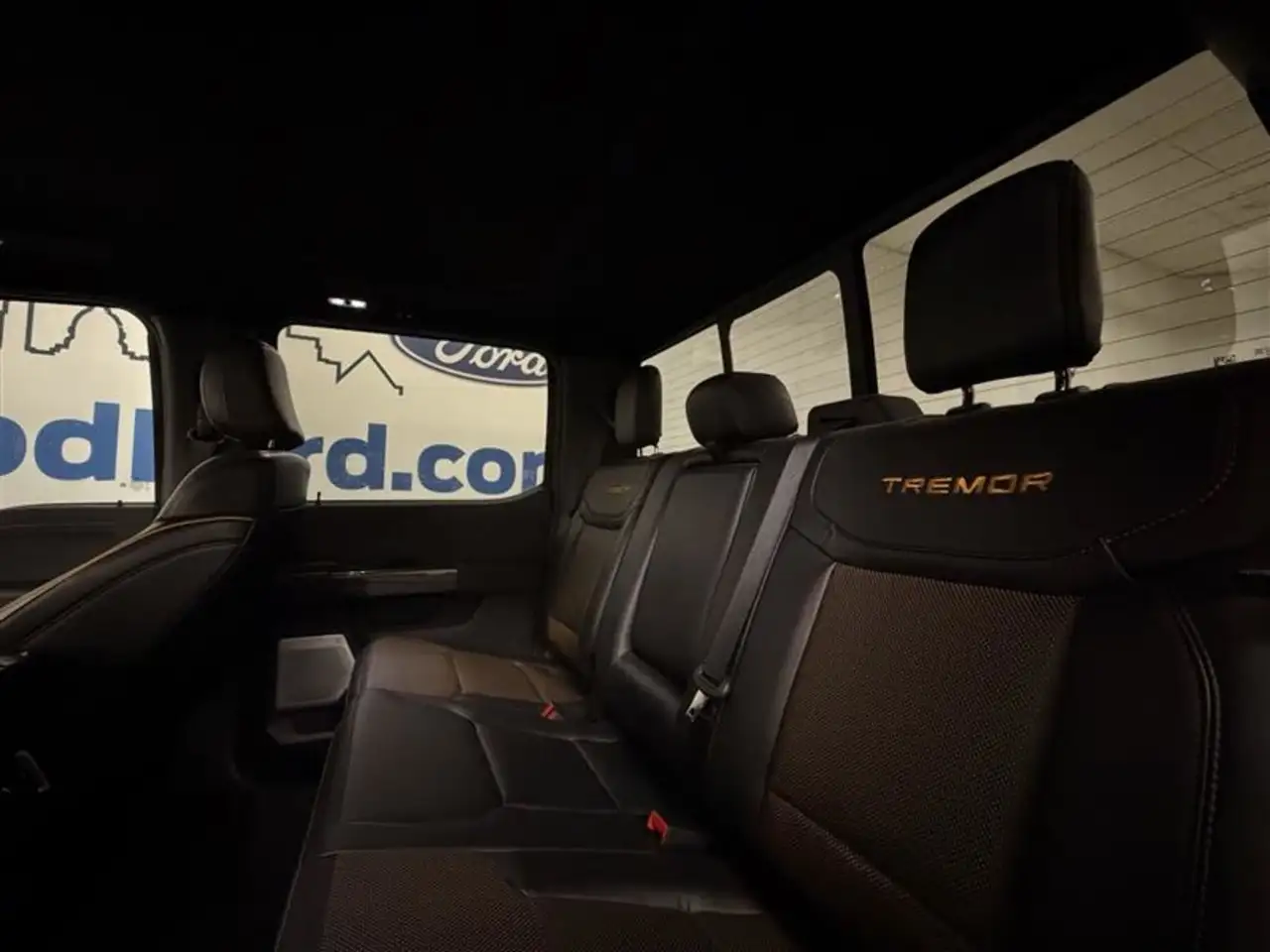 Ford F-150 - Image 12