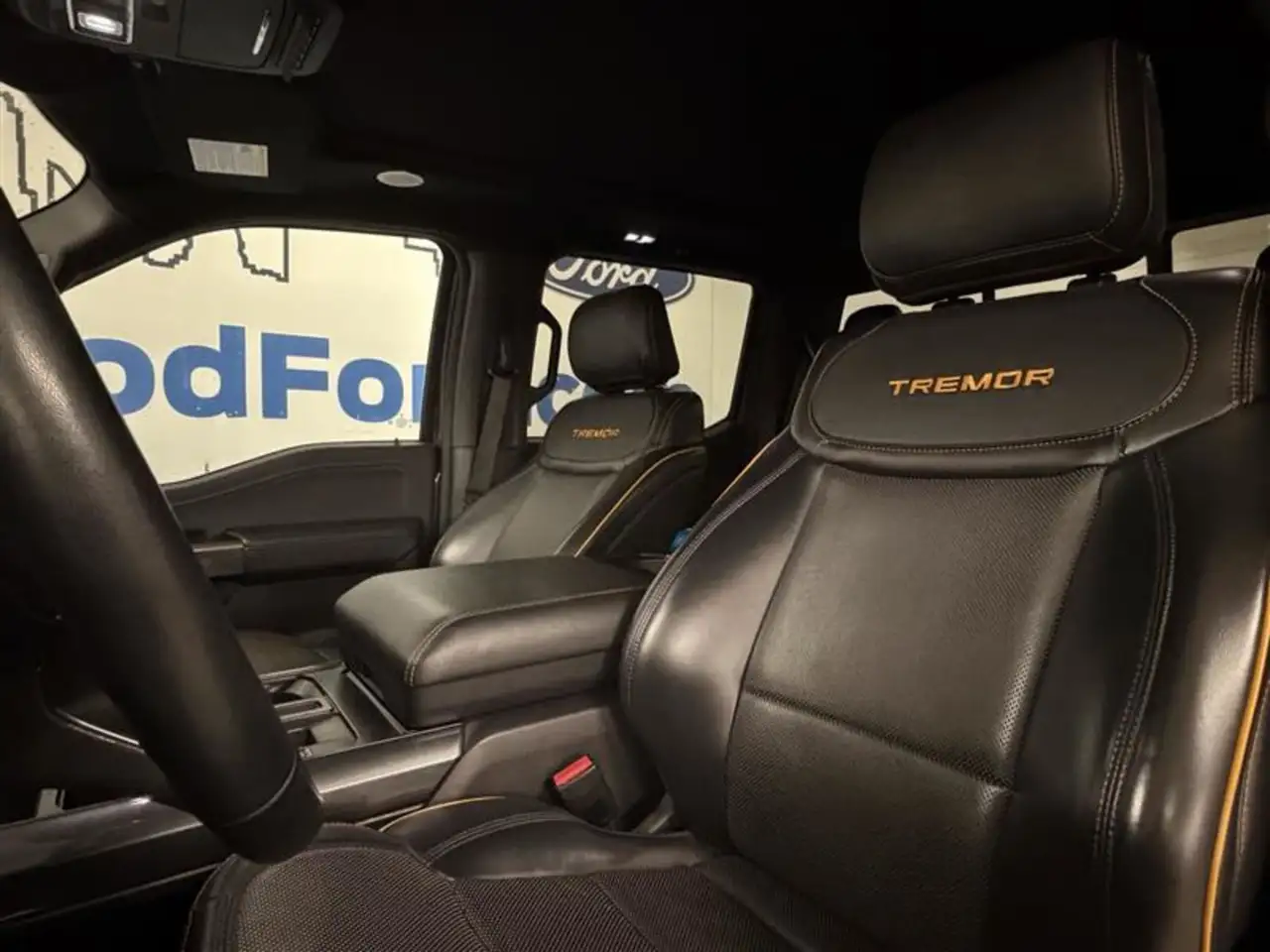 Ford F-150 - Image 11