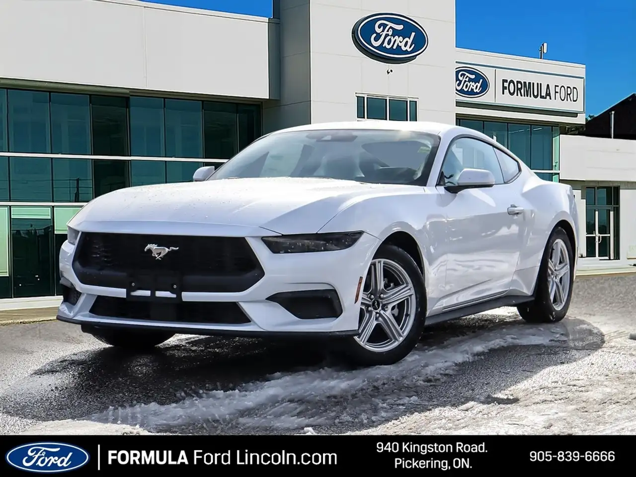 Ford Mustang - Image 2