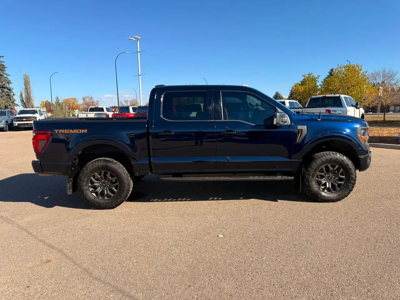 Ford F-150 - Image 4