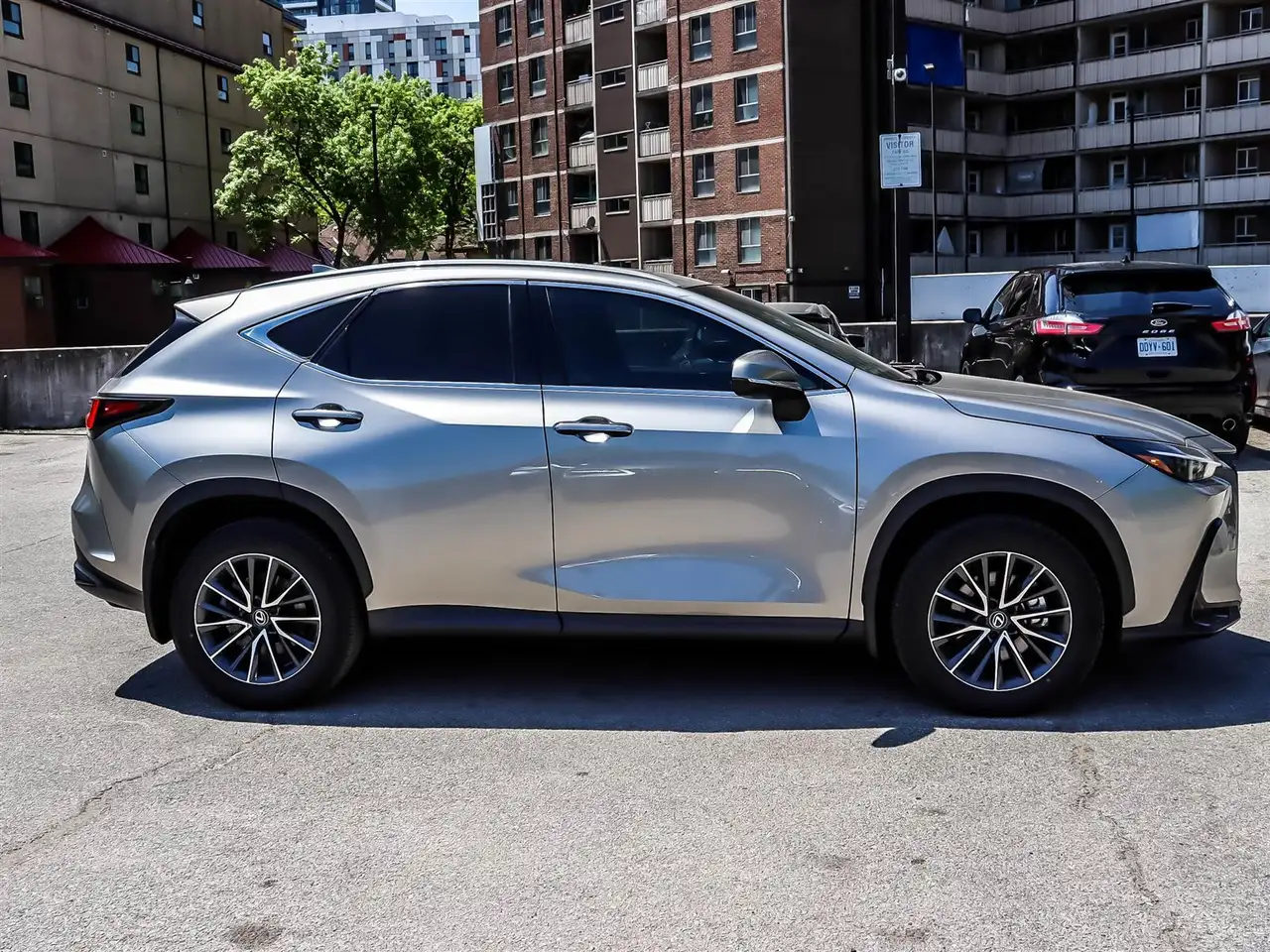 Lexus NX - Image 3