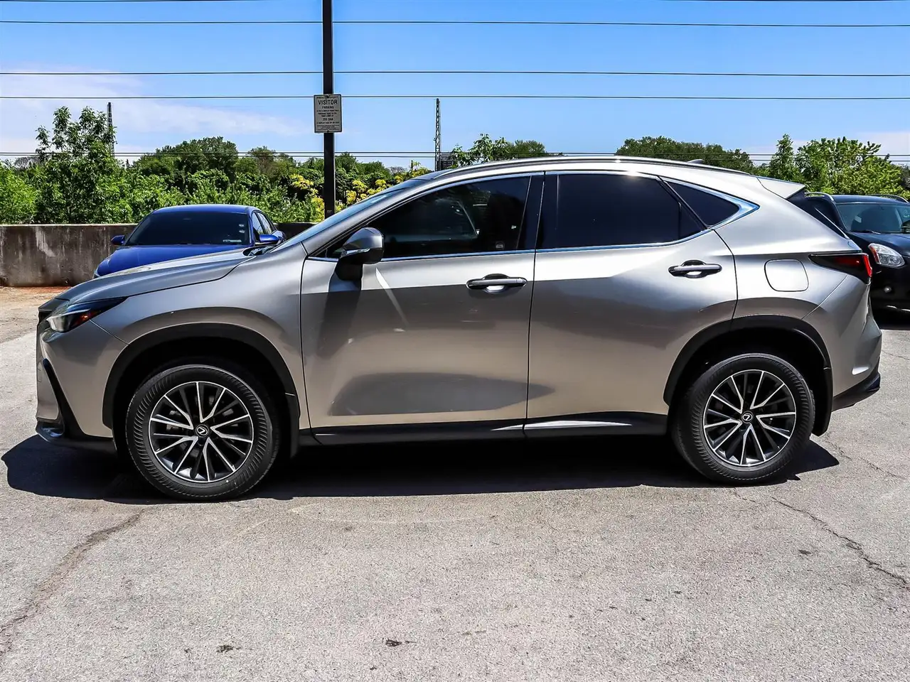 Lexus NX - Image 5