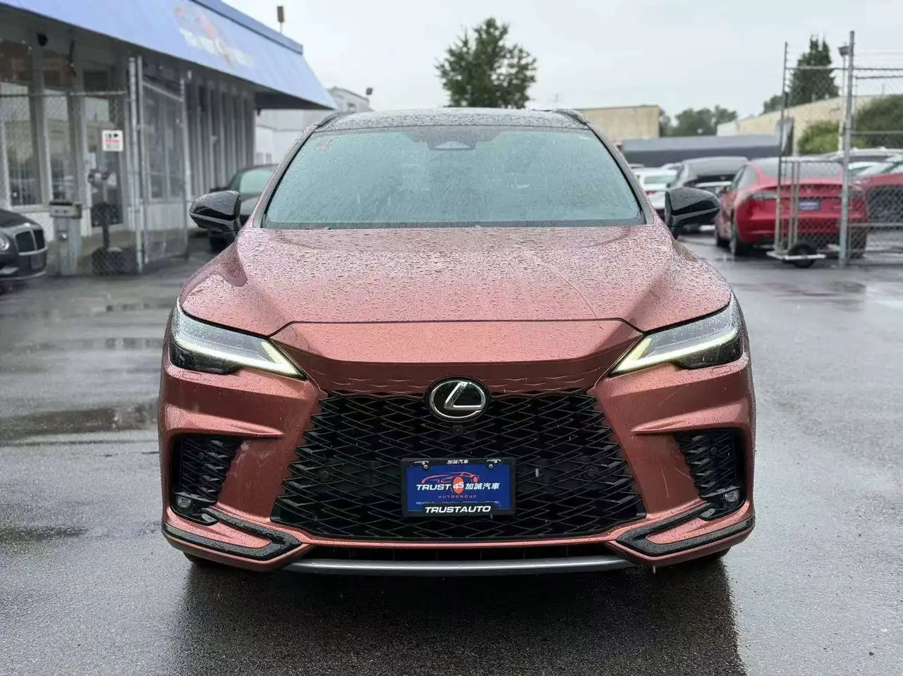 Lexus RX - Image 8