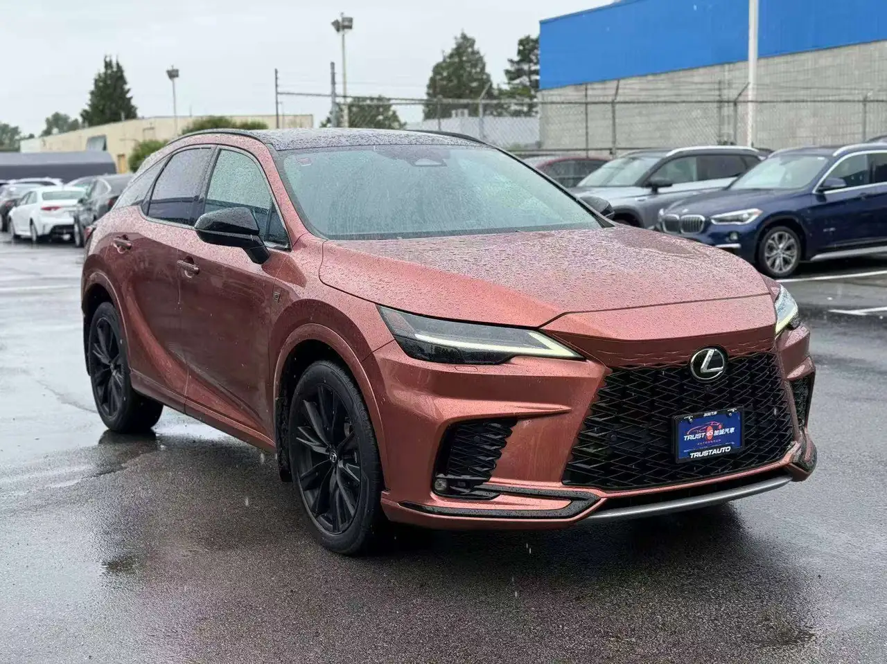 Lexus RX - Image 7
