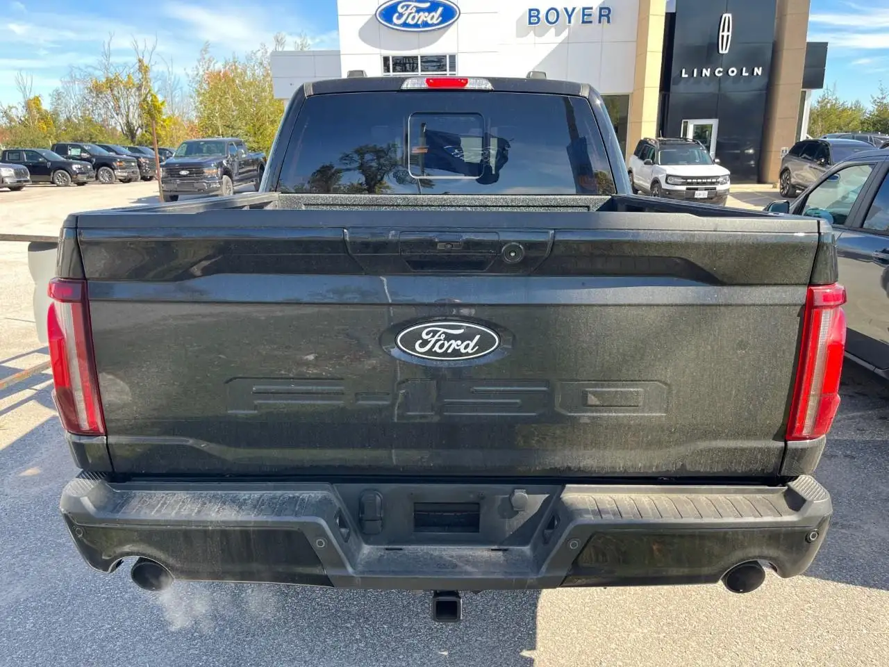 Ford F-150 - Image 4