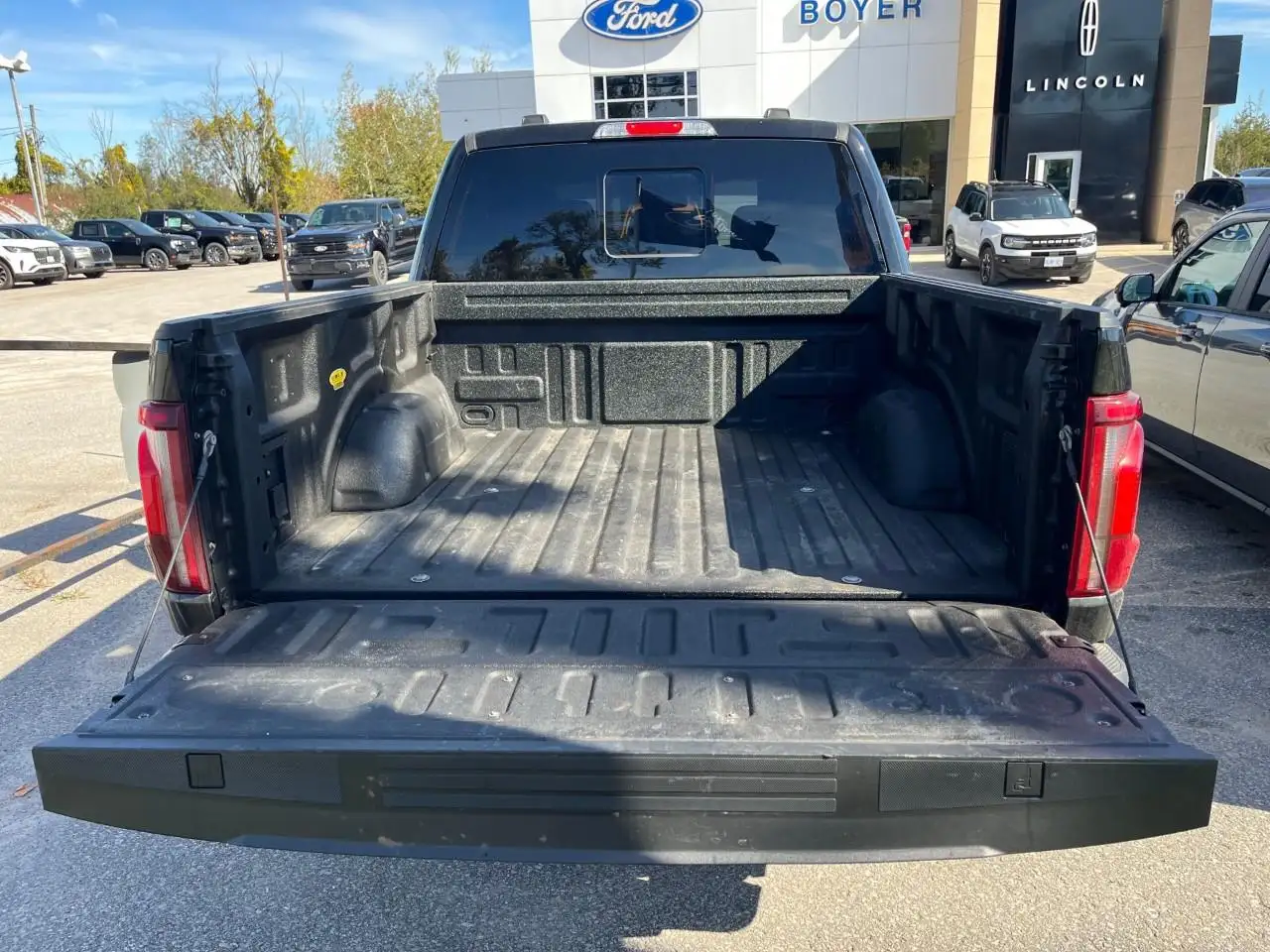 Ford F-150 - Image 5
