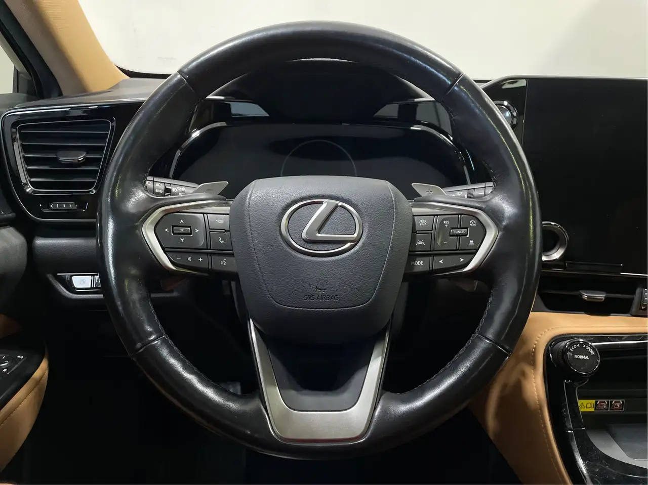 Lexus NX - Image 27