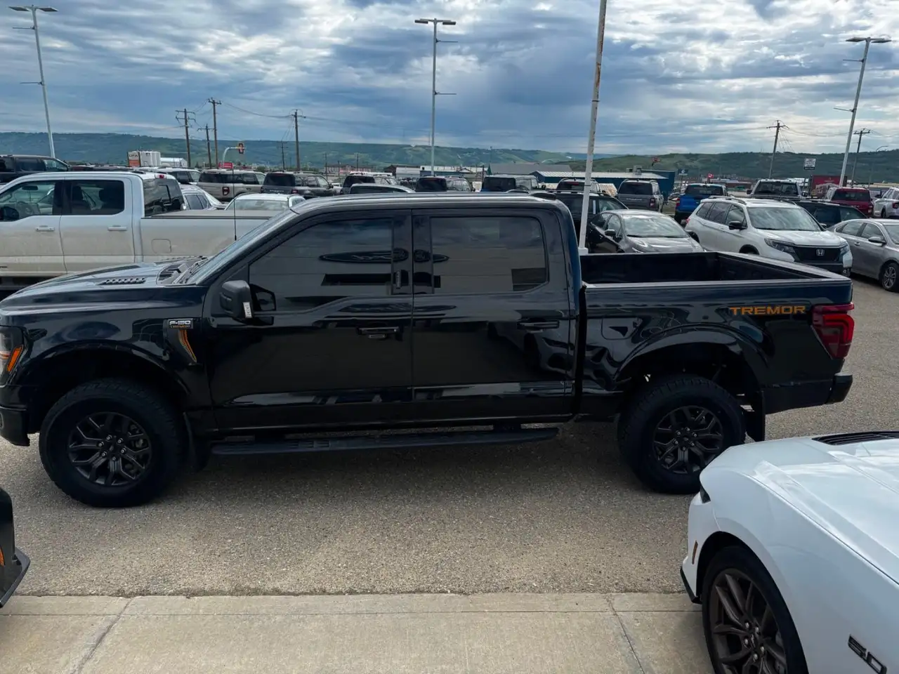 Ford F-150 - Image 4