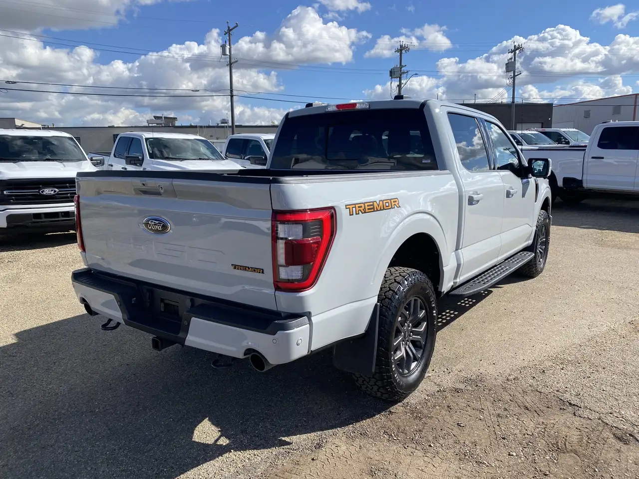 Ford F-150 - Image 28