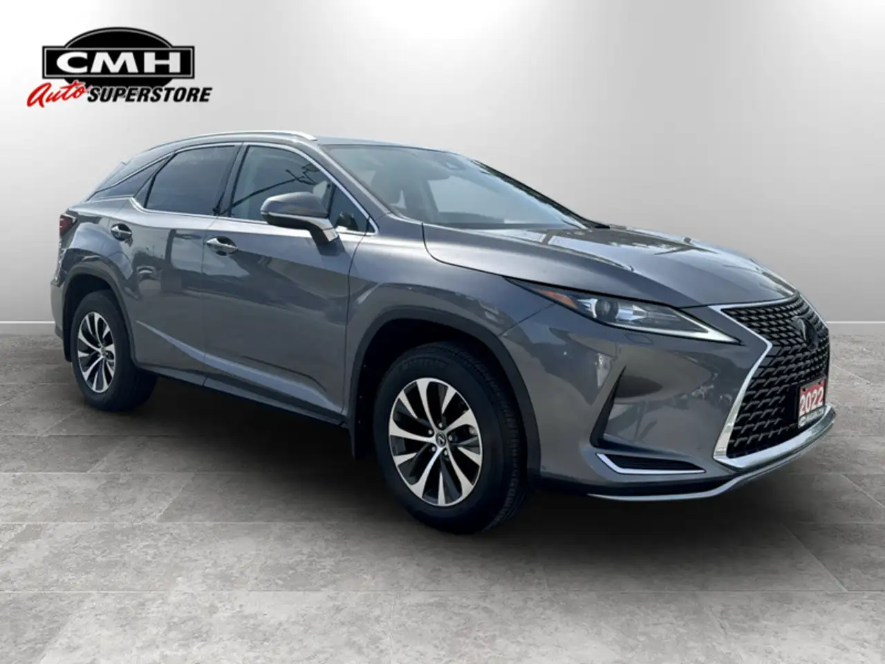 Lexus RX - Image 6