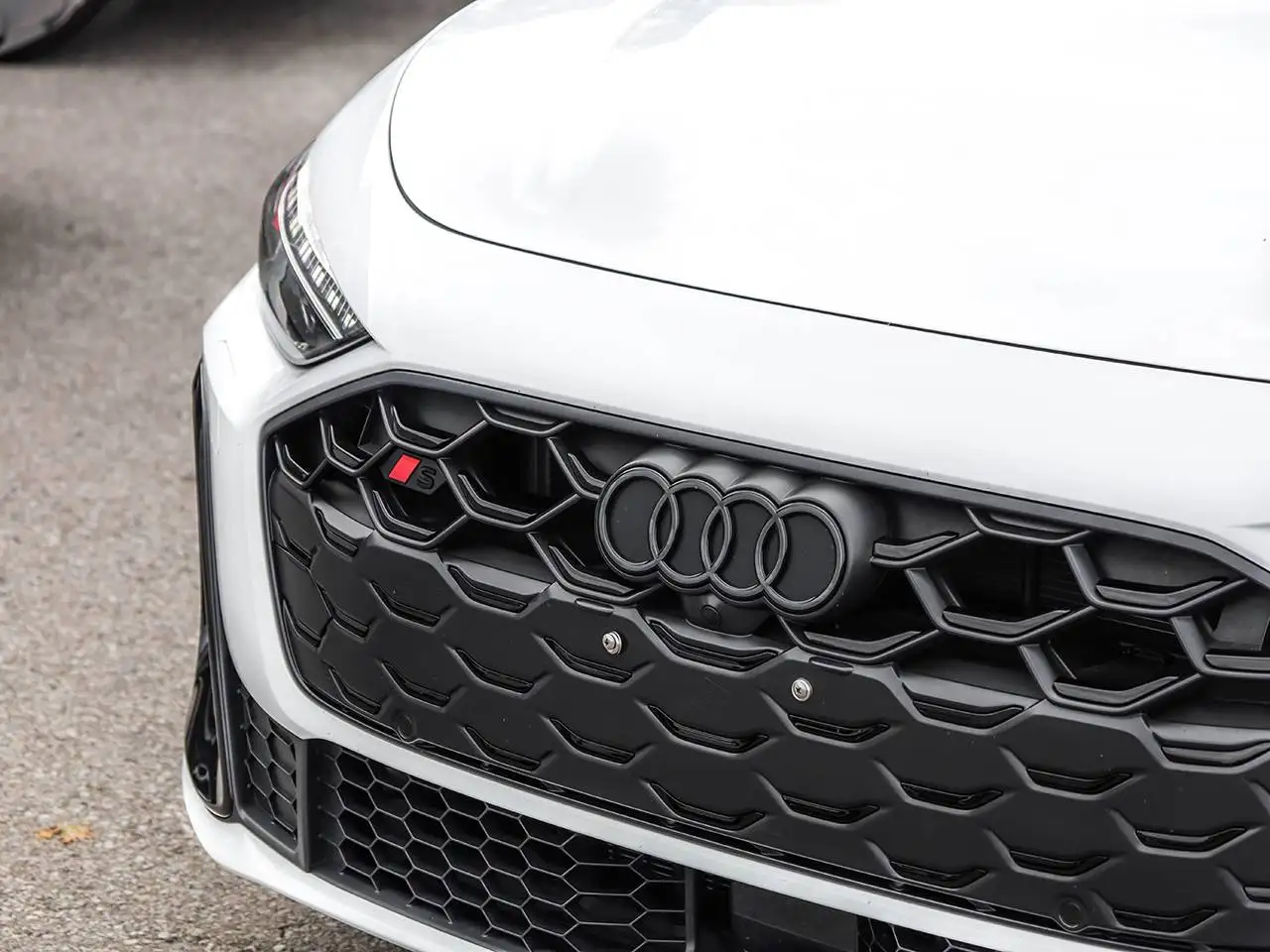 Audi S5 - Image 12