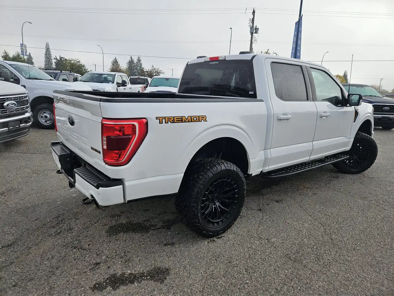 Ford F-150 - Image 5