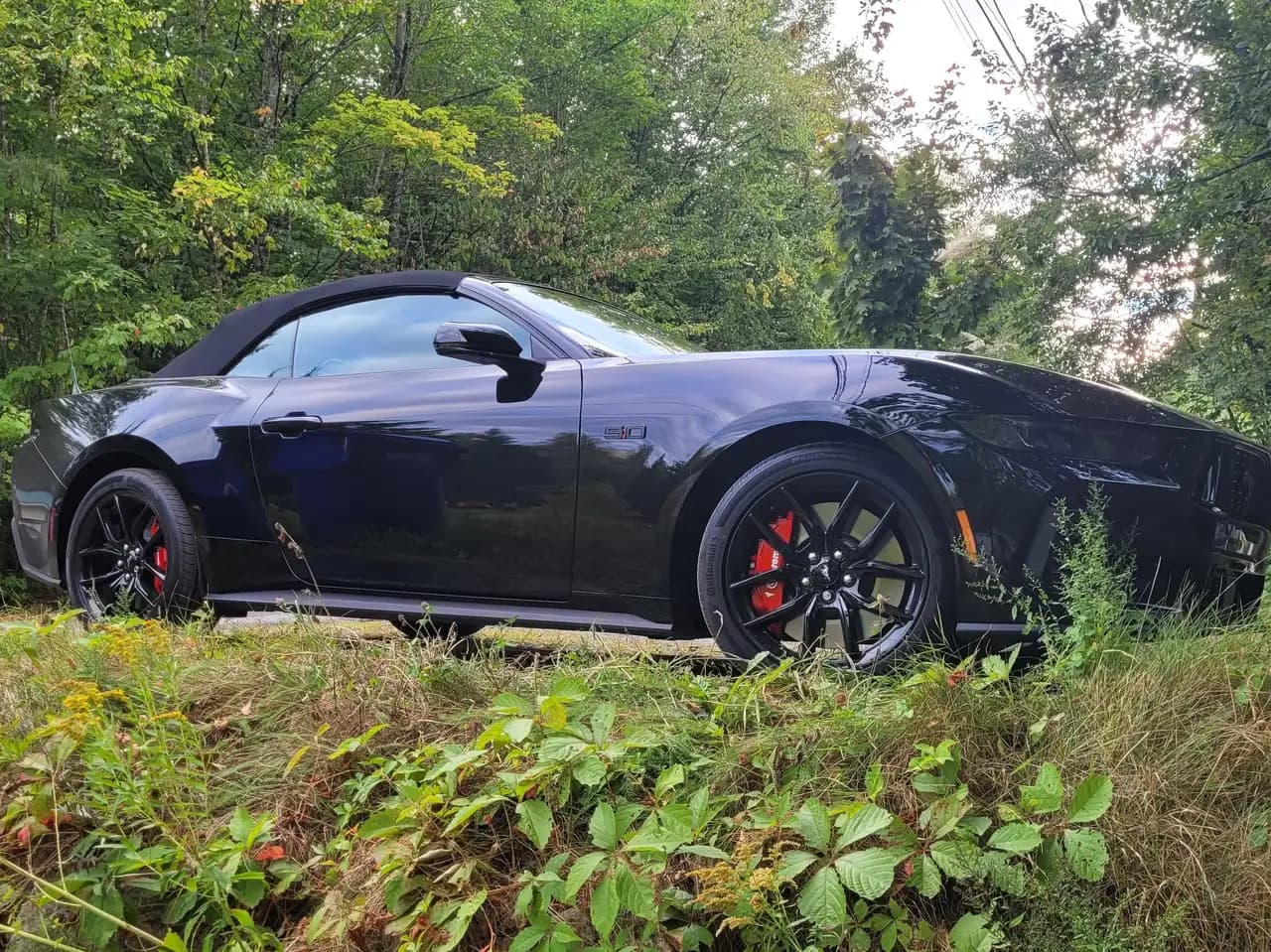 Ford Mustang - Image 1