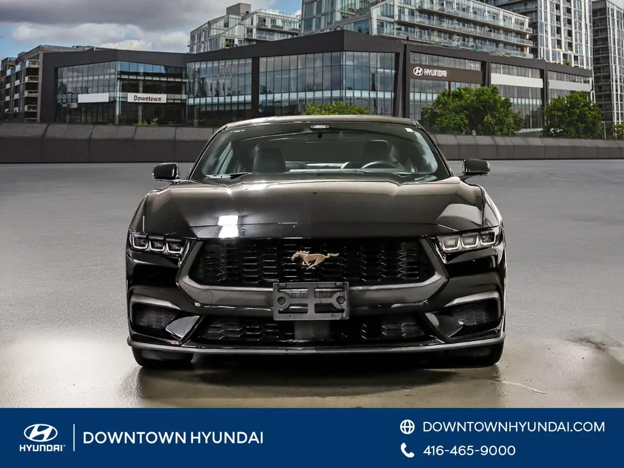 Ford Mustang - Image 2