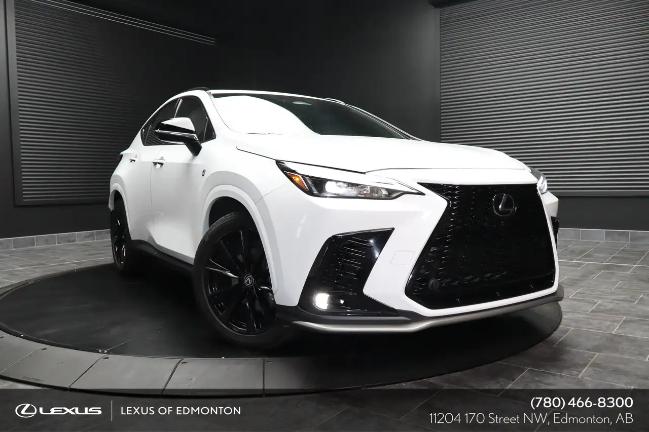 Lexus NX - Image 1