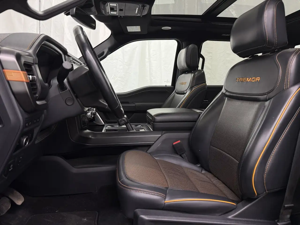 Ford F-150 - Image 22