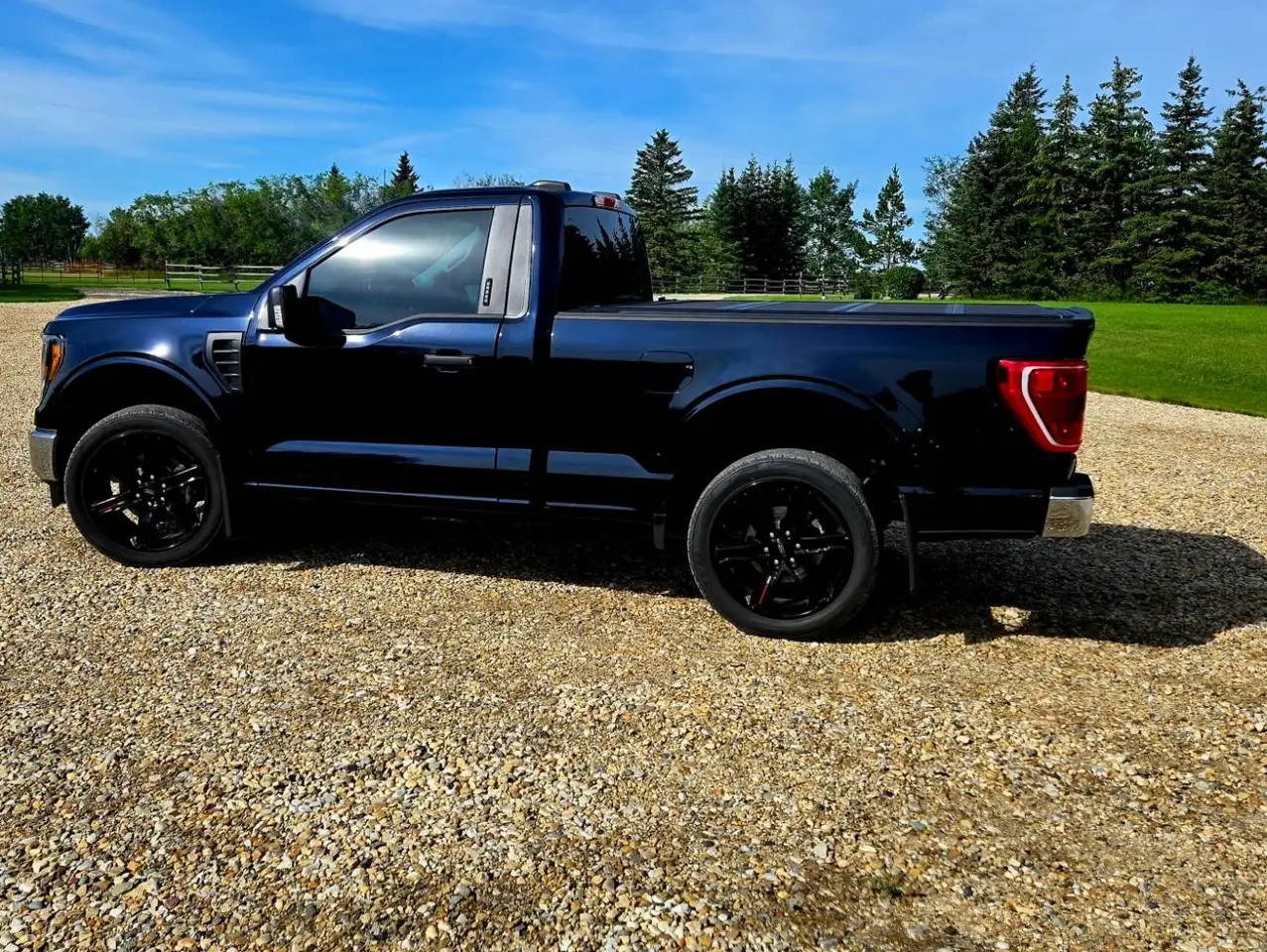 Ford F-150 - Image 1