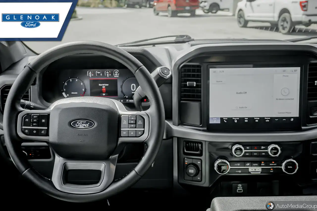 Ford F-150 - Image 11