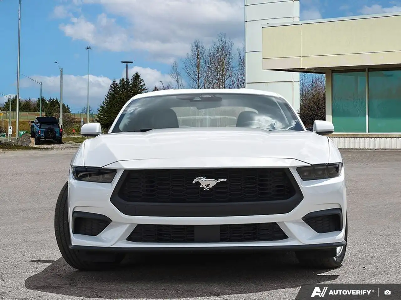 Ford Mustang - Image 3