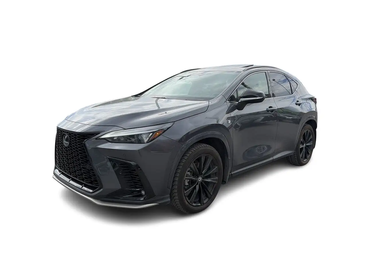 Lexus NX - Image 6