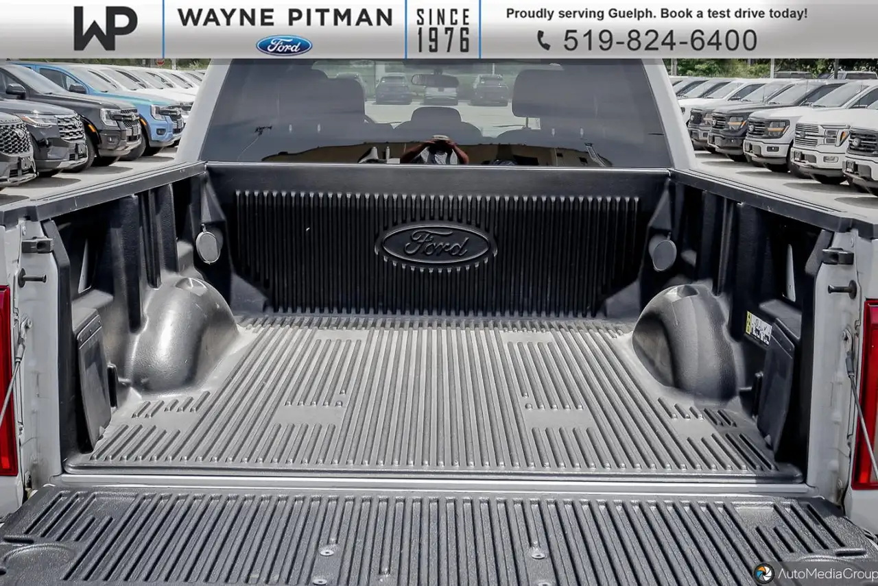 Ford F-150 - Image 12