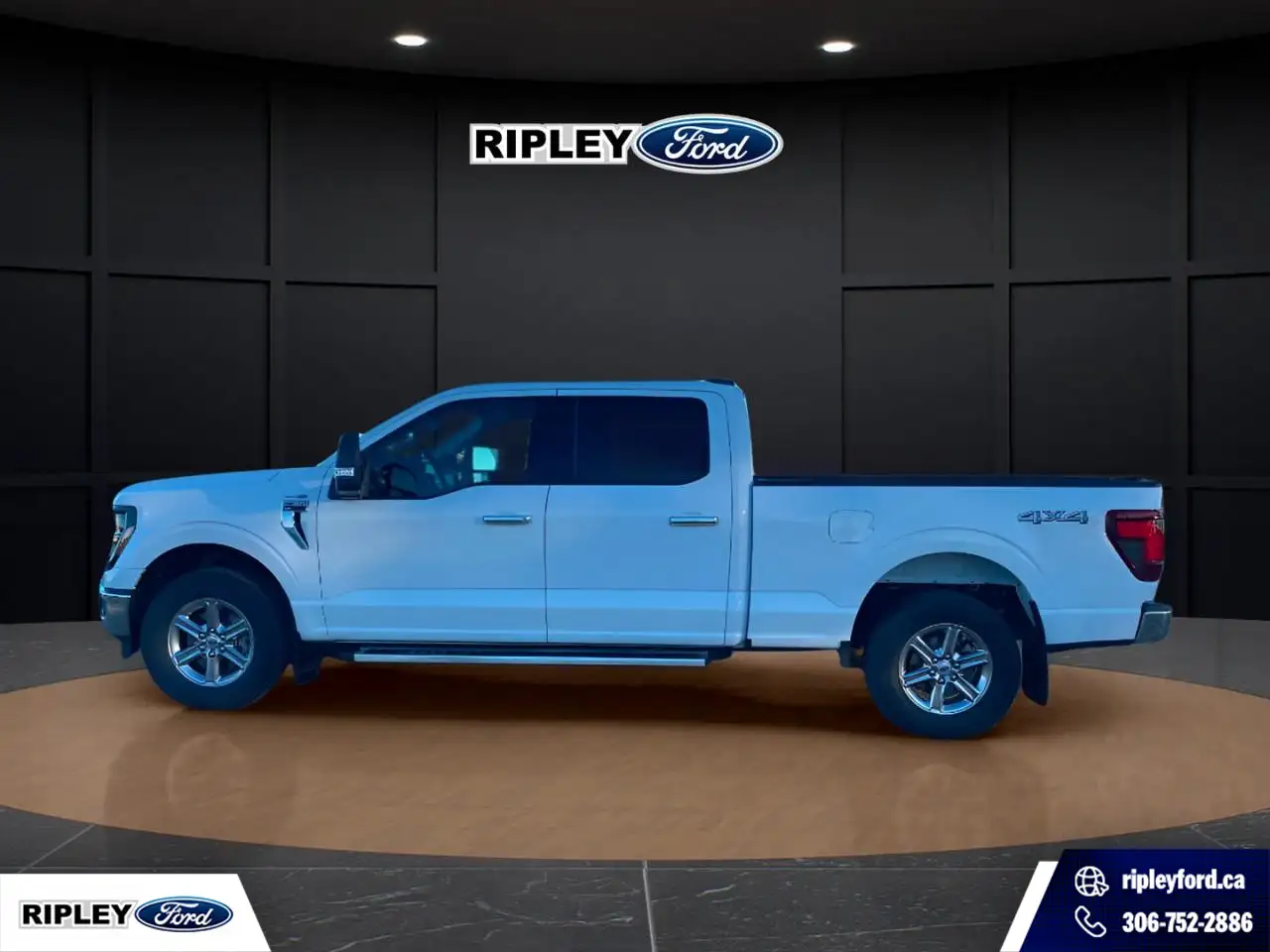 Ford F-150 - Image 8