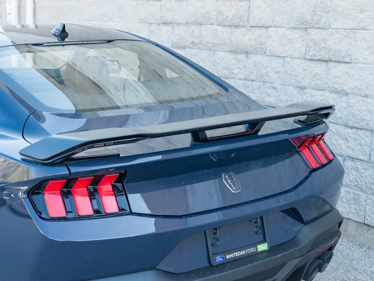 Ford Mustang - Image 12