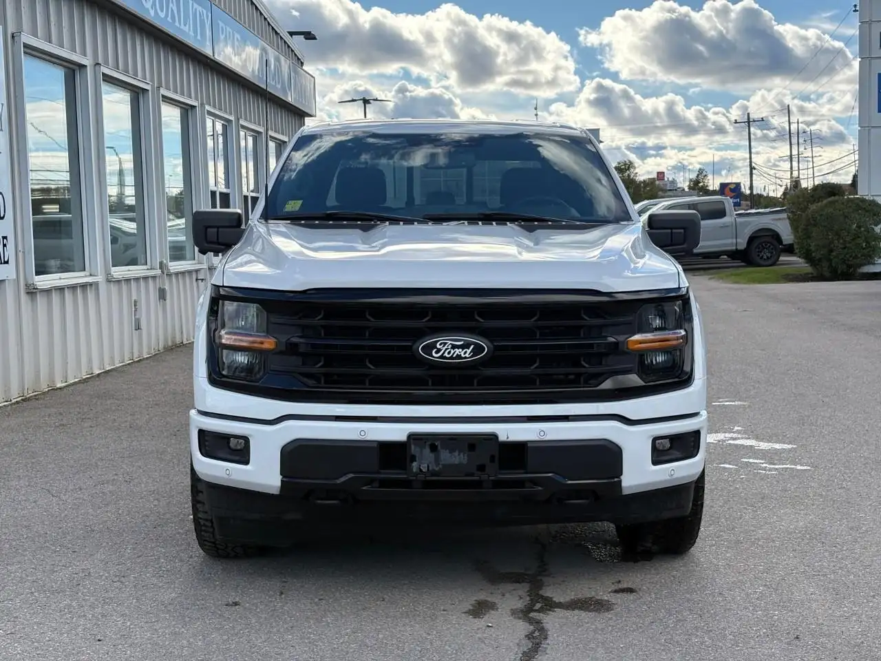 Ford F-150 - Image 3
