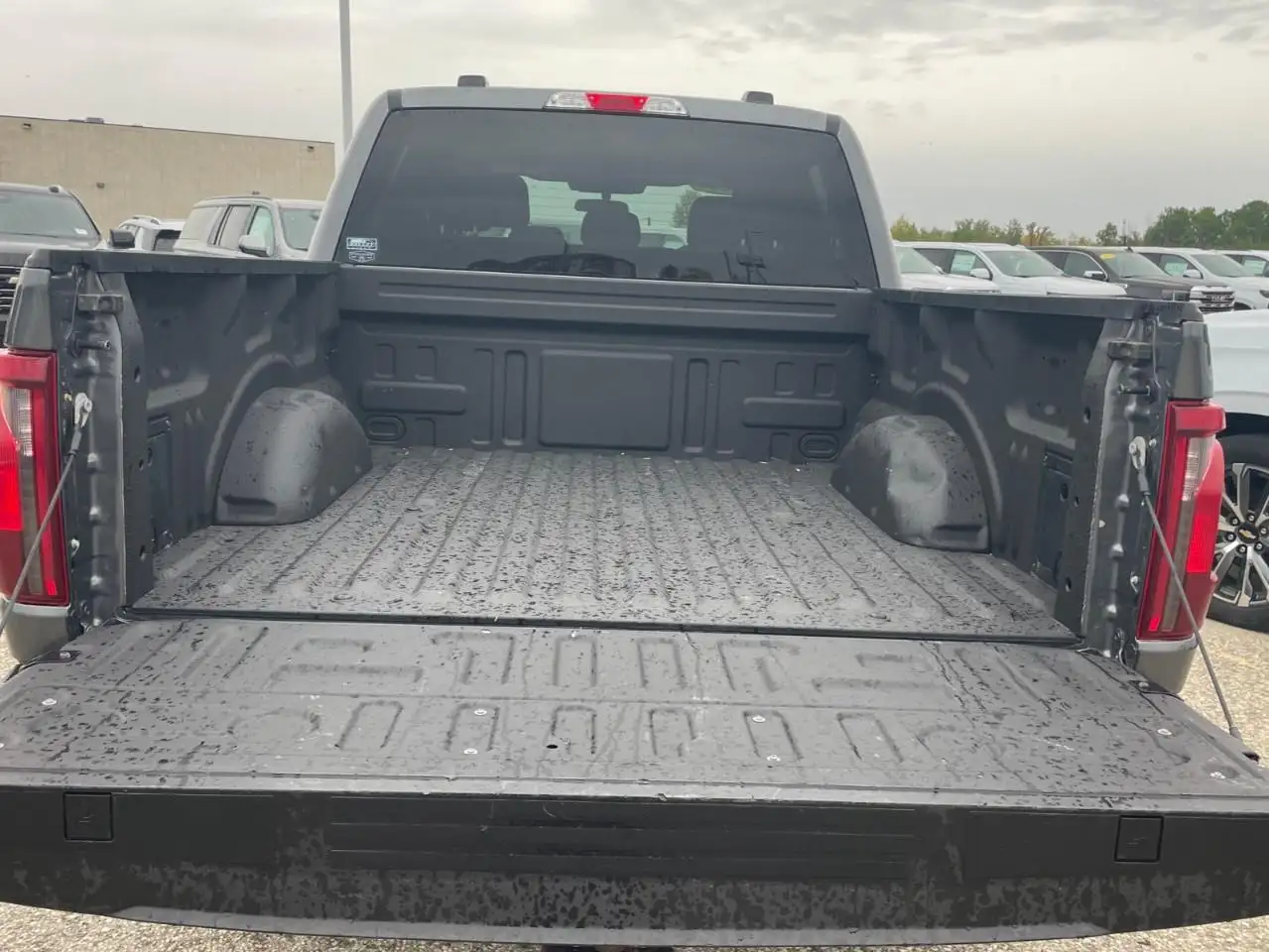 Ford F-150 - Image 20