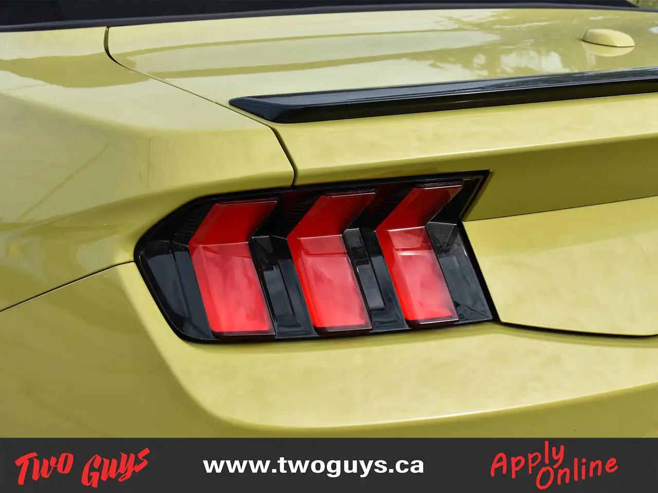 Ford Mustang - Image 16