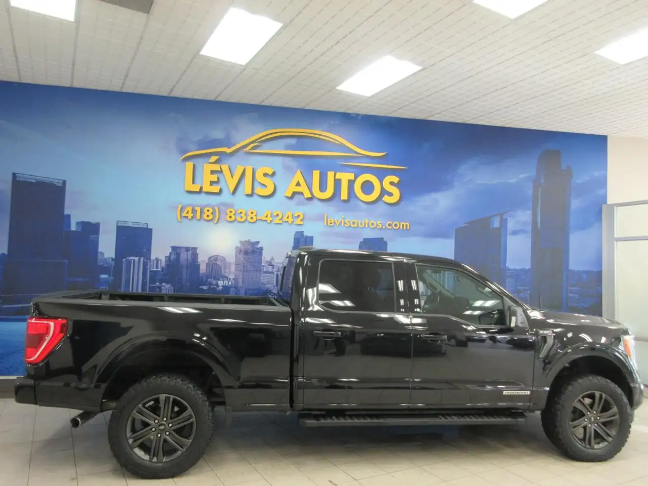 Ford F-150 - Image 31
