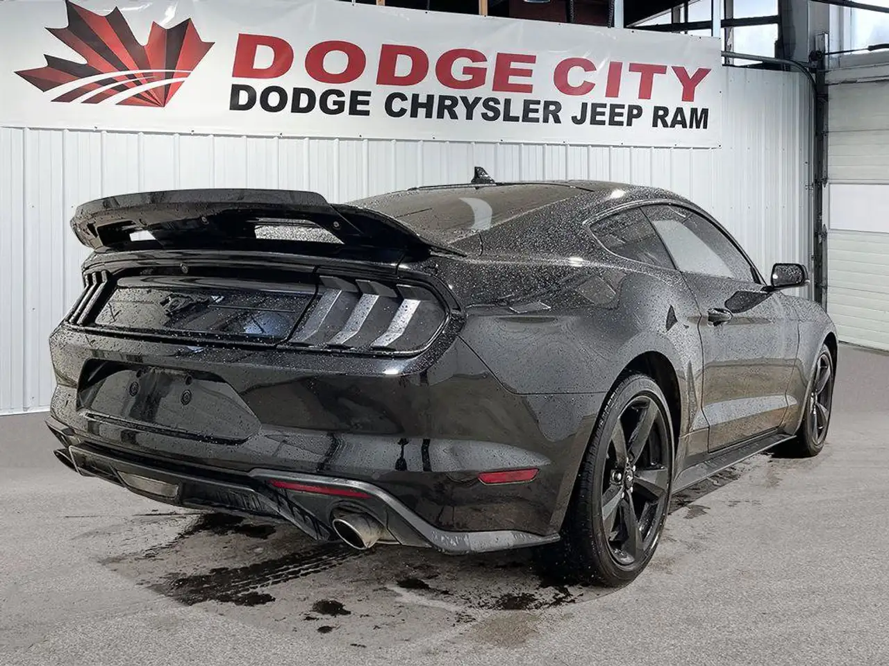 Ford Mustang - Image 5