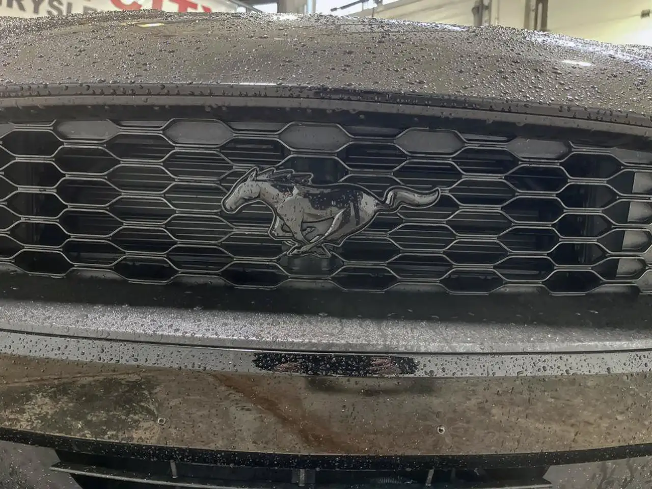 Ford Mustang - Image 11